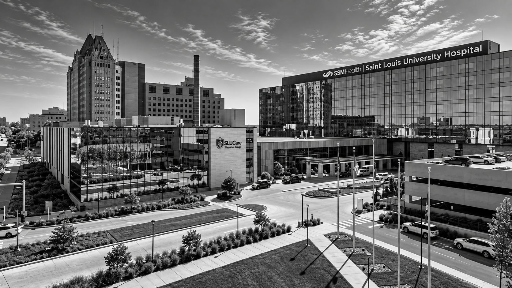 St. Louis University School of Medicine in Grand & Chouteau, St. Louis